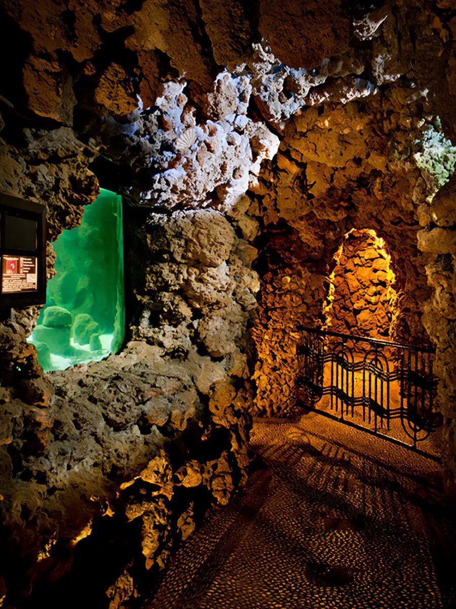 🐠 로도스 수족관 (에니드리오 로두)